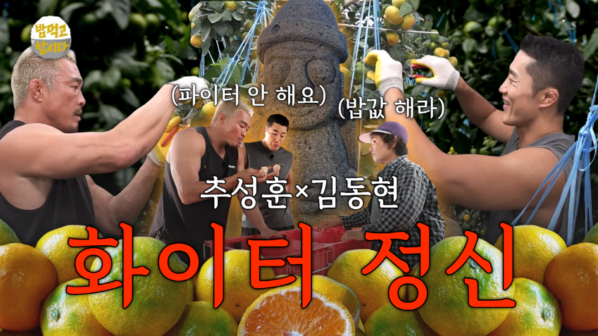 추성훈과 김동현이 제주의 감귤하우스를 찾아 감귤을 직접 딴 뒤 농협APC 에서 상품화하며 밥심 알리기에 나섰다. 