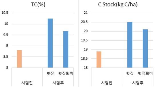 토양 탄소 함량(TC) 및 저장량(C Stock) 변화