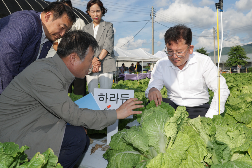 <사진설명><br>
이승돈 농촌진흥청장은 16일 전북 남원시 준고랭지 여름배추 시범사업 재배지를 찾아 생육 상황을 점검하고 있다.<사진=농촌진흥청 제공>