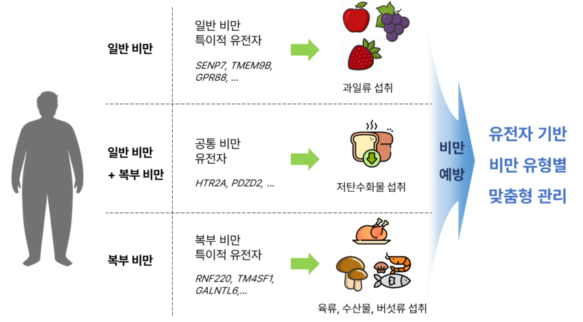 < 비만 유형별 유전자 특성과 맞춤형 관리 전략 >