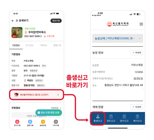 ‘키우소’ 앱에 적용된 축산물이력제 앱 바로가기 버튼으로 빠른 화면 전환이 가능해져 농가의 신고 편의성이 높아졌다.