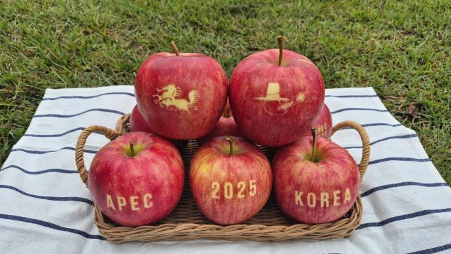 경북 사과로 생산한 ‘문자사과’