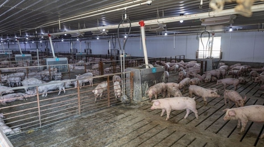 가축분뇨가 사회적으로 수질 환경오염의 주범으로 부각 된 시기는 지난 90년대 부터 시작됐다