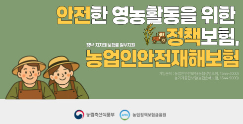 배너