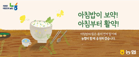 배너