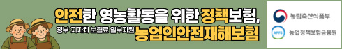 배너