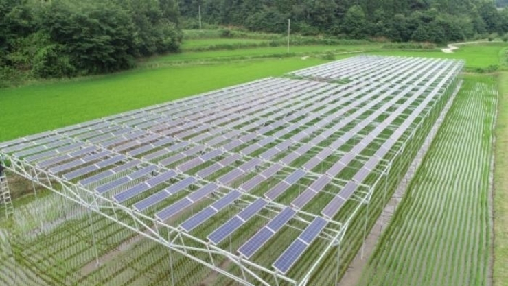 농업인에게만 영농형 태양광 설치 허용한다