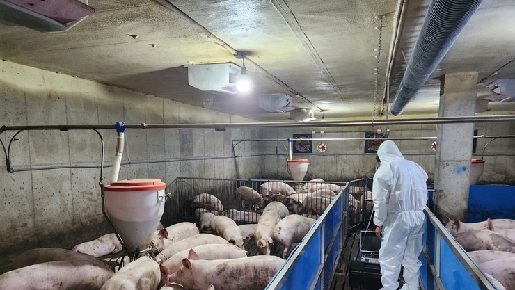 감귤 부산물 ‘냄새, 해충 잡고, 땅심 키우는’ 친환경 자재로 재탄생