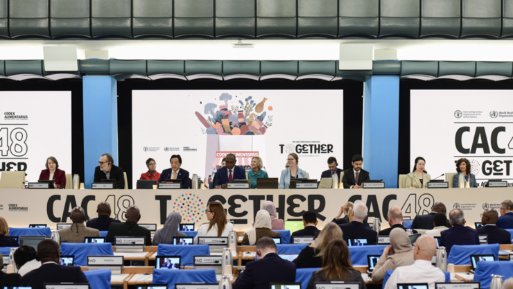 제48차 코덱스 총회, K-푸드 국제위상 강화 쾌거!