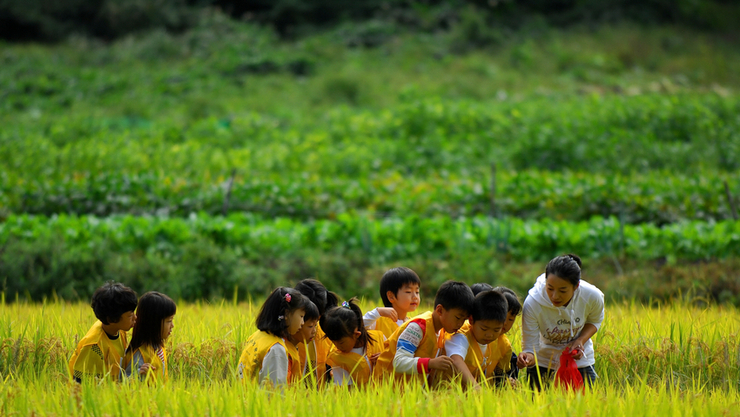 “농업 가치 확산을 위한 헌법 반영 추진 필요”