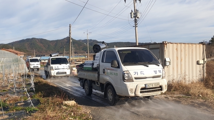 AI 발생 농장에서 '다수 방역 미흡 사항' 확인.