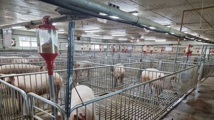 암모니아 배출계수 개발..축산 배출량 감소 예측