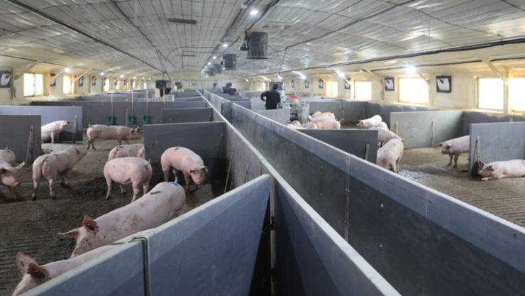 환경친화적 축산...환경성과가 농가소득 돼야