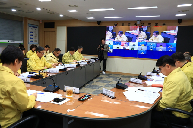 AI 감염력 예년에 비해 10배 이상 높아...방역 '총력'