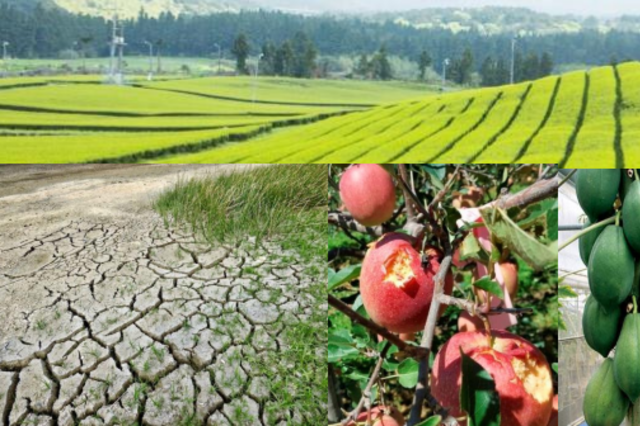 2026년에 주목할 ‘10대 농정 이슈’ 무엇인가?