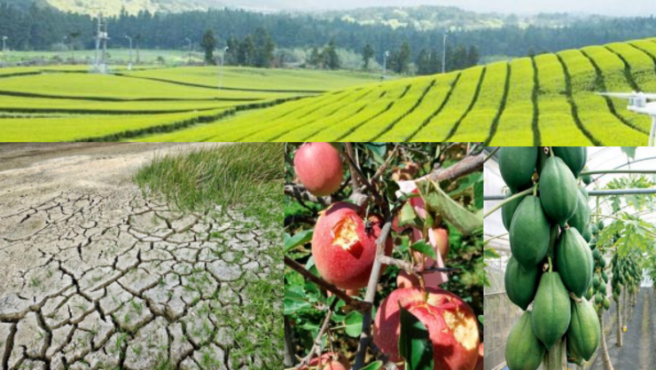 2026년에 주목할 ‘10대 농정 이슈’ 무엇인가?