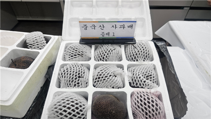 역대 최대 규모 중국산 농산물 불법 수입 적발