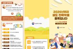 벼도 전략작물직불금 500만 원/ha 지급, 2026년 ‘수급조절용 벼’ 신규 추진
