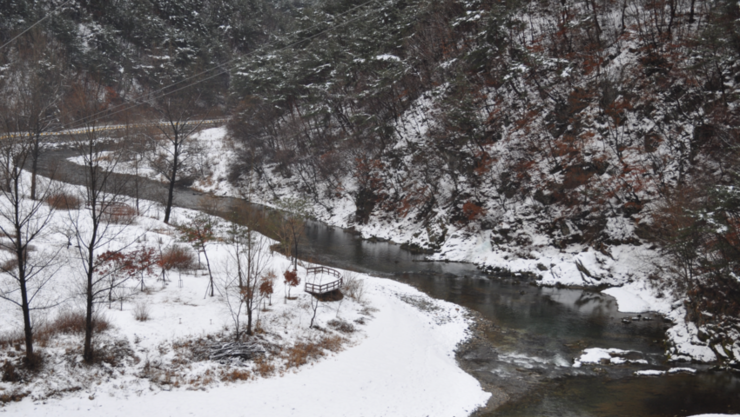 기후위기와 지역문제, ‘자연’에서 해법 찾는다