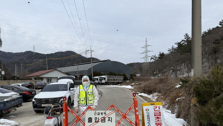 전북 정읍, 경북 김천, 충남 홍성 농장 ASF 발생