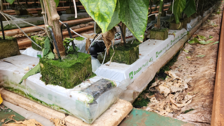 처치곤란 농업부산물 폐암면, 유용한 자원으로